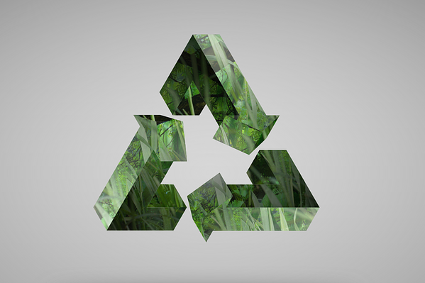 Avoid These Common Recycling Mistakes