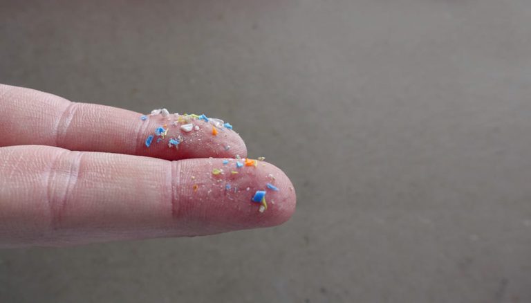 A person showing some microplastics