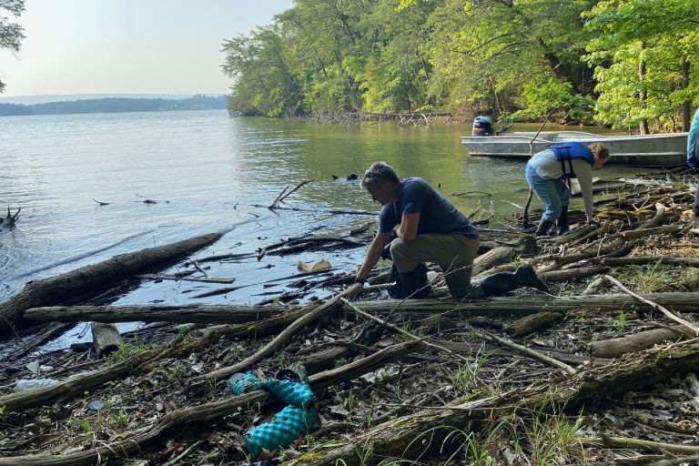 Volunteers cleaning up the shore of the Tennessee River