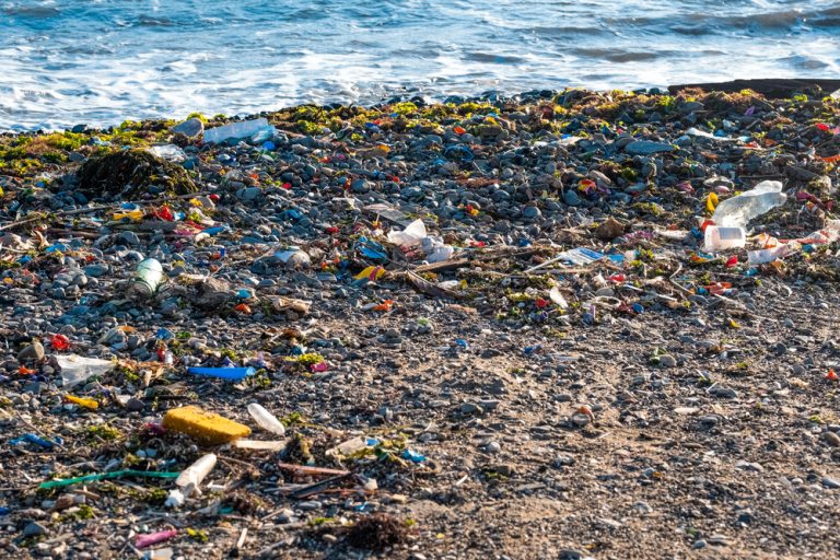 Plastic washed ashore on a beach